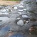 Srirampur-Golakpur road work to begin soon