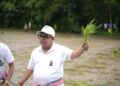 Agri Minister Ratan Lal Nath joins paddy plantation