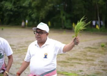 Agri Minister Ratan Lal Nath joins paddy plantation