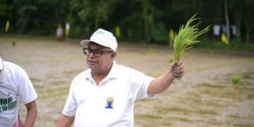 Agri Minister Ratan Lal Nath joins paddy plantation