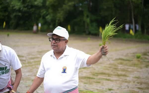 Agri Minister Ratan Lal Nath joins paddy plantation