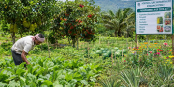 Khowai to See Expanded Horticulture Cultivation