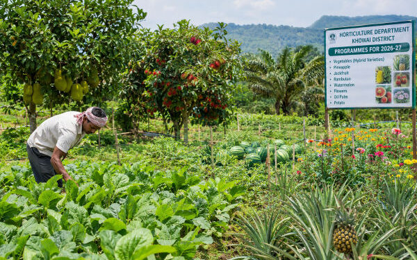 Khowai to See Expanded Horticulture Cultivation
