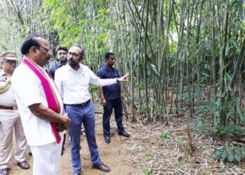 Governor Nallu seeks stronger bamboo value chain, artisan support in Tripura