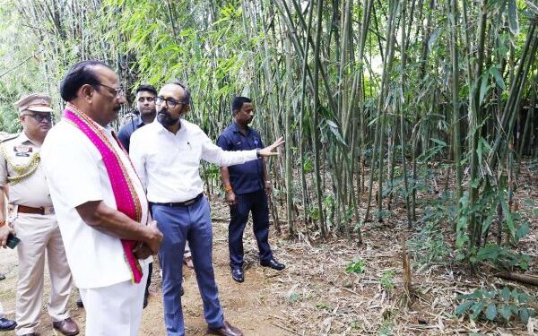 Governor Nallu seeks stronger bamboo value chain, artisan support in Tripura