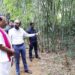 Governor Nallu seeks stronger bamboo value chain, artisan support in Tripura