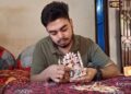 From waste to wonder: Tripura art teacher crafts Goddess Durga with 700 matchsticks