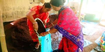 Tripura woman turns vermicompost unit into Rs 5 lakh monthly enterprise
