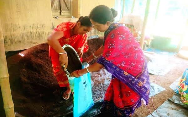 Tripura woman turns vermicompost unit into Rs 5 lakh monthly enterprise