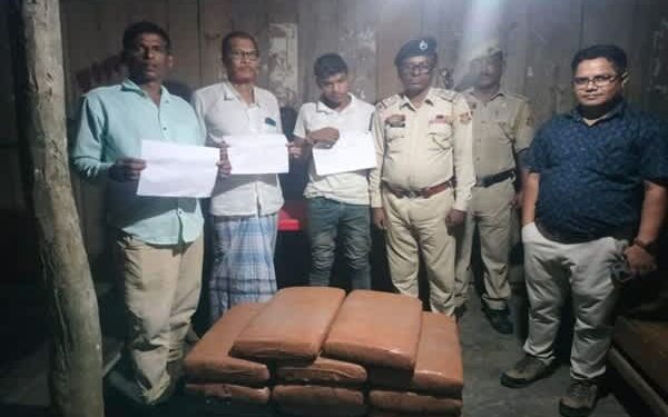 Tripura Police seize cannabis worth Rs 50 lakh, arrest driver